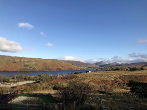 View from Oyster Shed